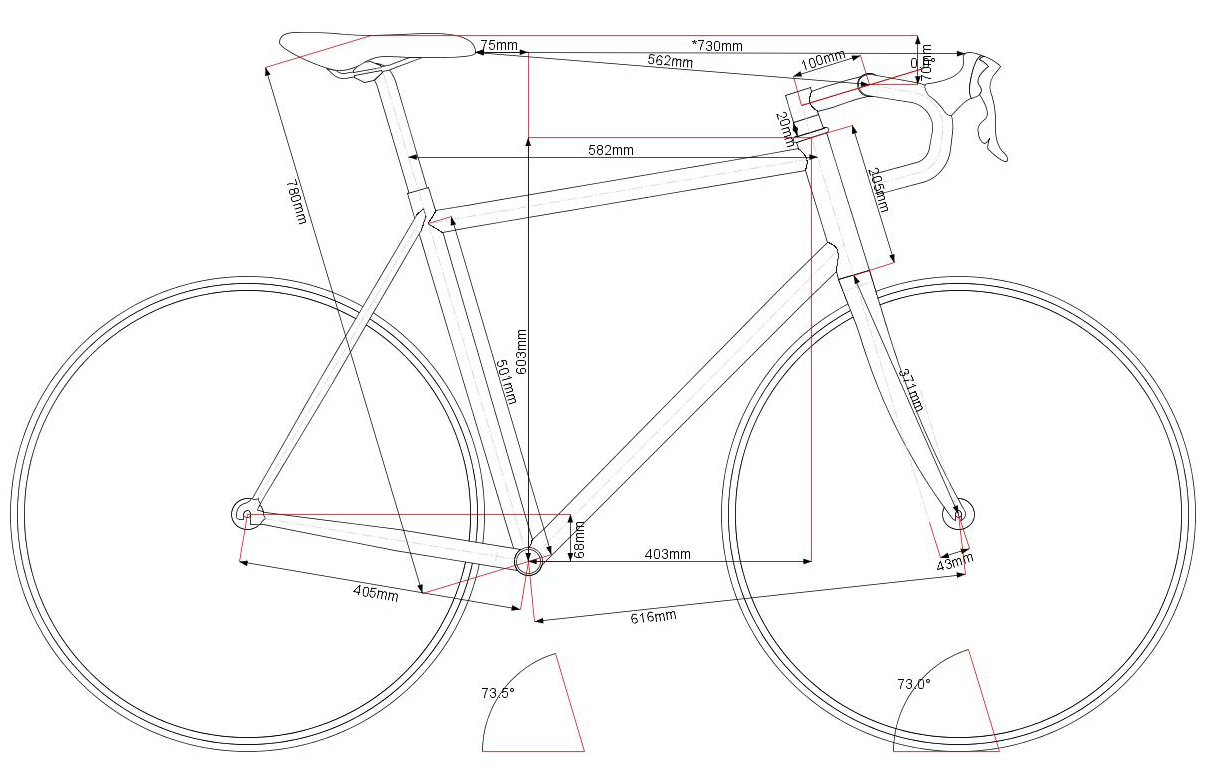 WHOLE ATHLETE" Precision Bike Fitting for Road, Mountain, Time Trial