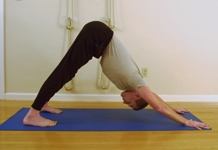 Whole Athlete Yoga Workshops - Hips, Knees, Low Back